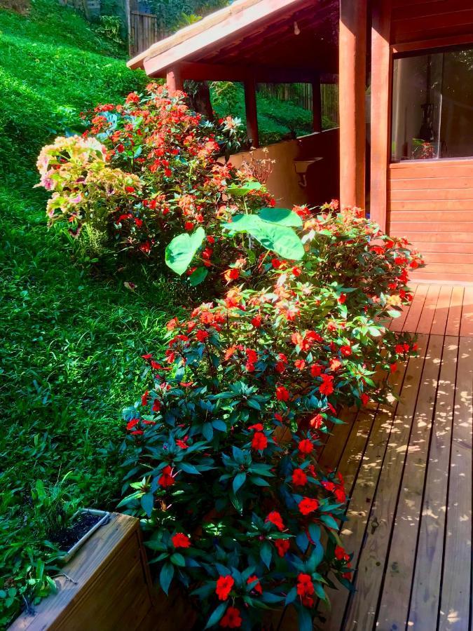 Chalet Chale Nas Arvores *